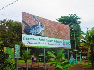 tortoguero