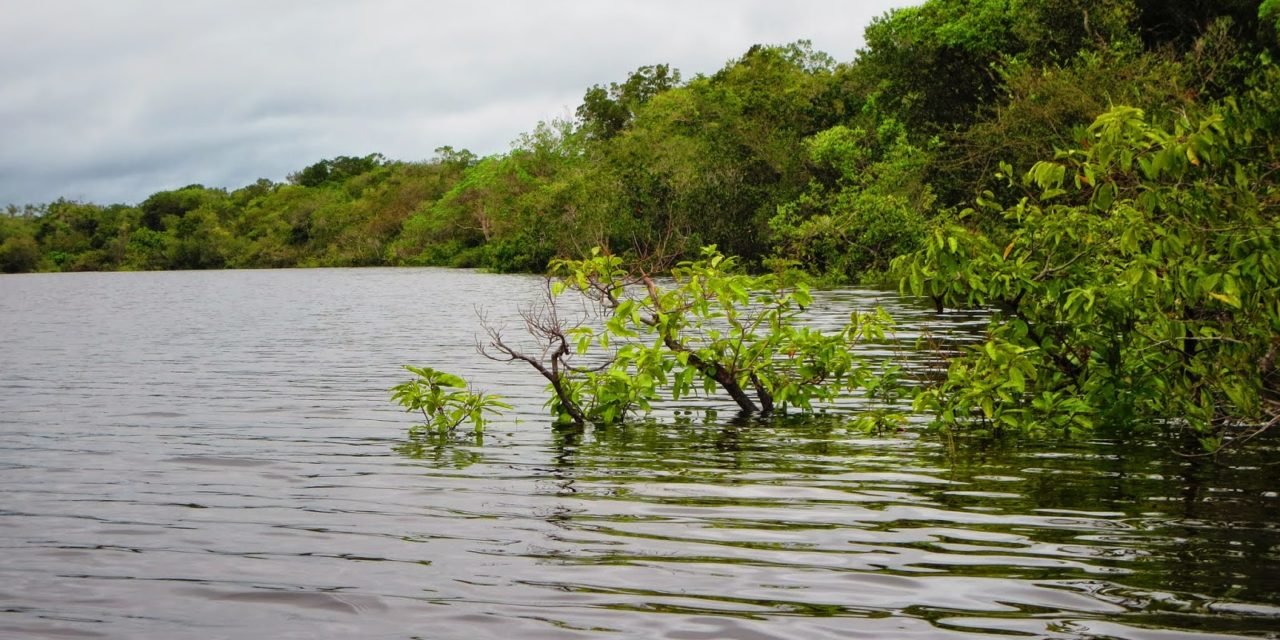Viaggio avventura in Amazzonia