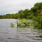 Viaggio avventura in Amazzonia